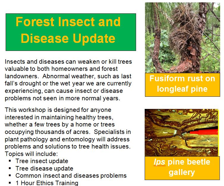 Insect and Disease Control MSU Extension Service